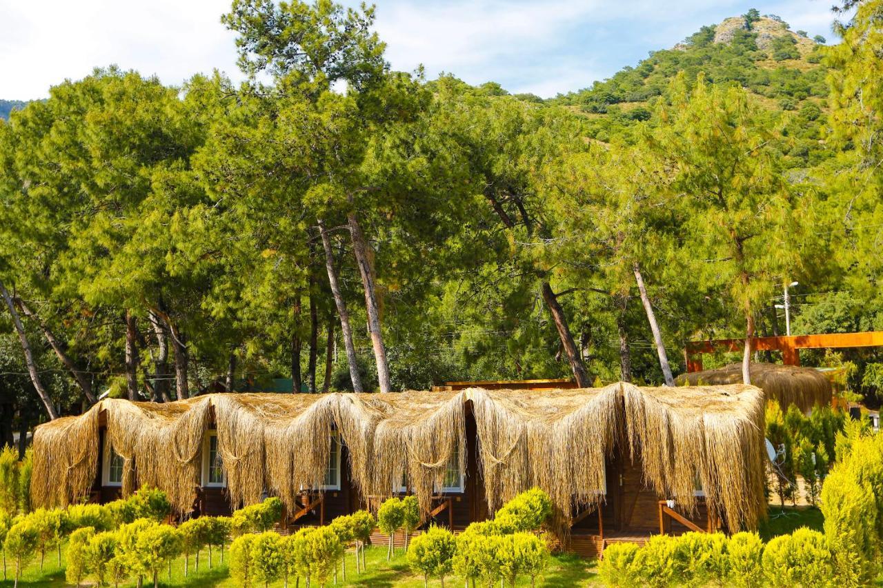 Green Pine Bungalows Oludeniz Bagian luar foto