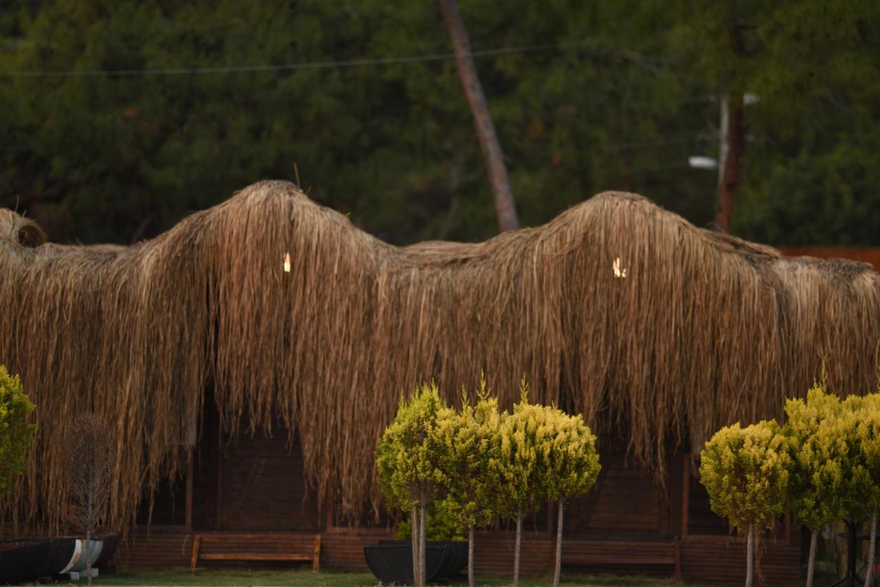 Green Pine Bungalows Oludeniz Bagian luar foto