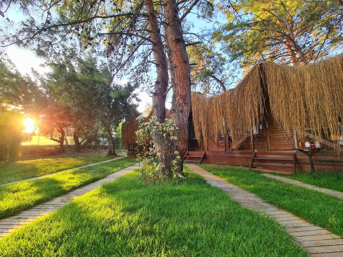 Green Pine Bungalows Oludeniz Bagian luar foto