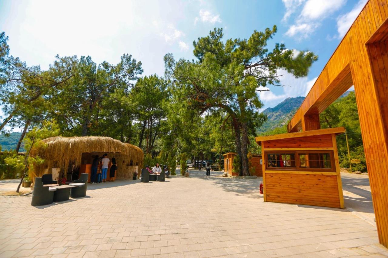 Green Pine Bungalows Oludeniz Bagian luar foto