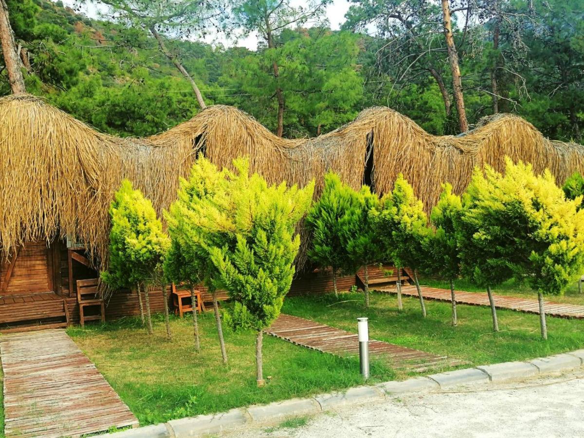 Green Pine Bungalows Oludeniz Bagian luar foto