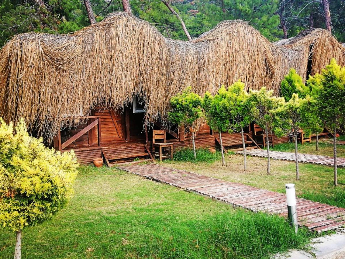 Green Pine Bungalows Oludeniz Bagian luar foto