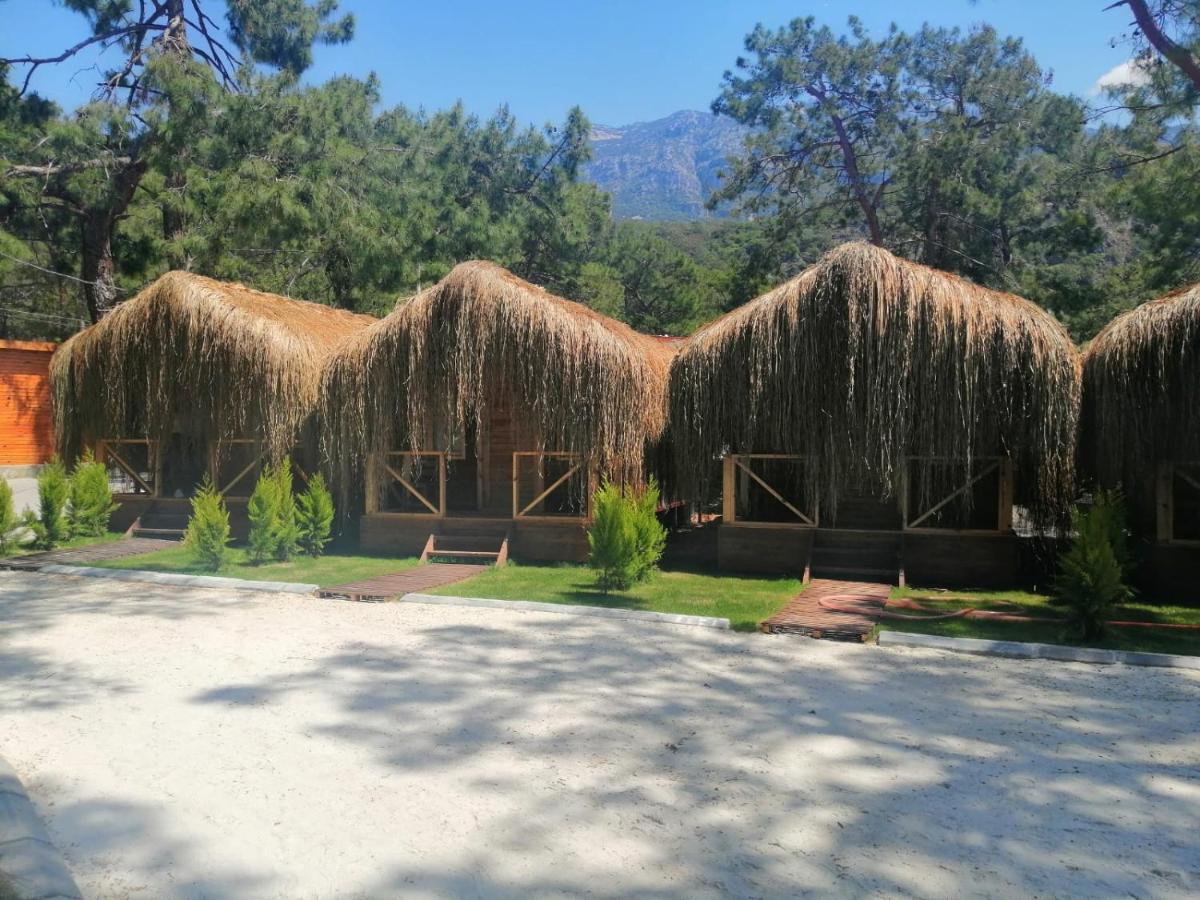 Green Pine Bungalows Oludeniz Bagian luar foto