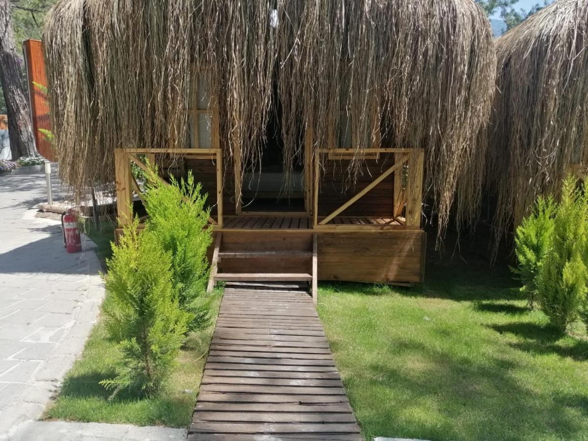 Green Pine Bungalows Oludeniz Bagian luar foto