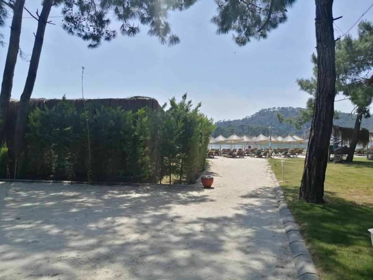 Green Pine Bungalows Oludeniz Bagian luar foto