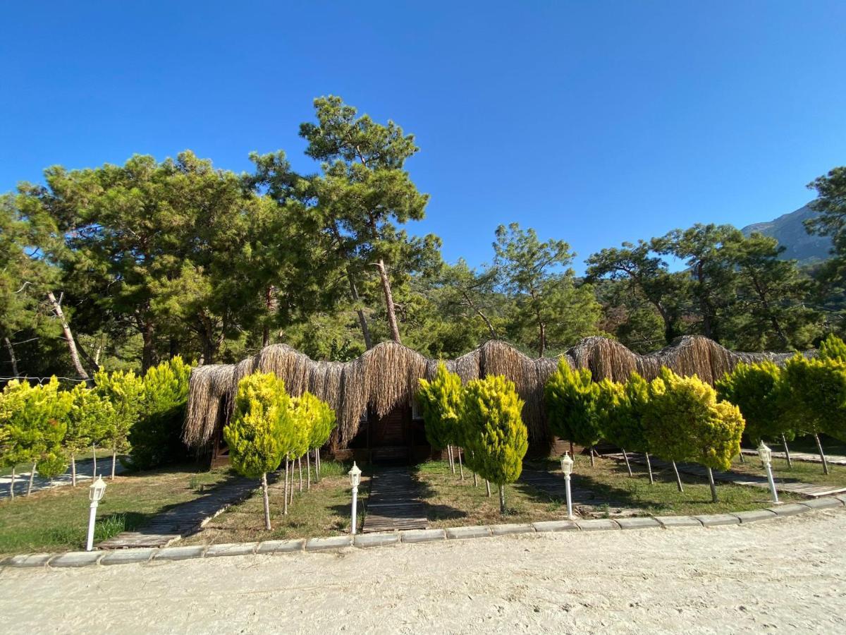 Green Pine Bungalows Oludeniz Bagian luar foto