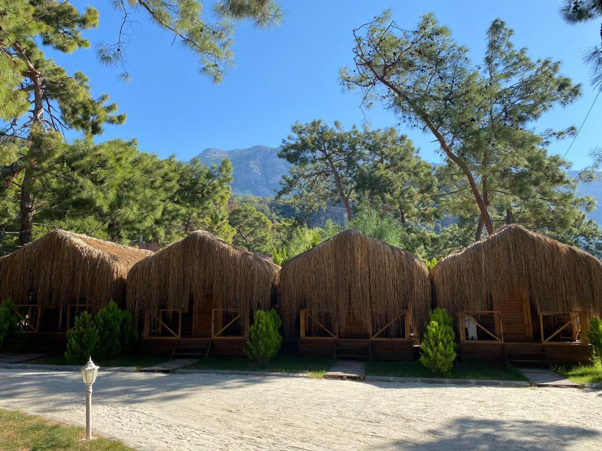 Green Pine Bungalows Oludeniz Bagian luar foto