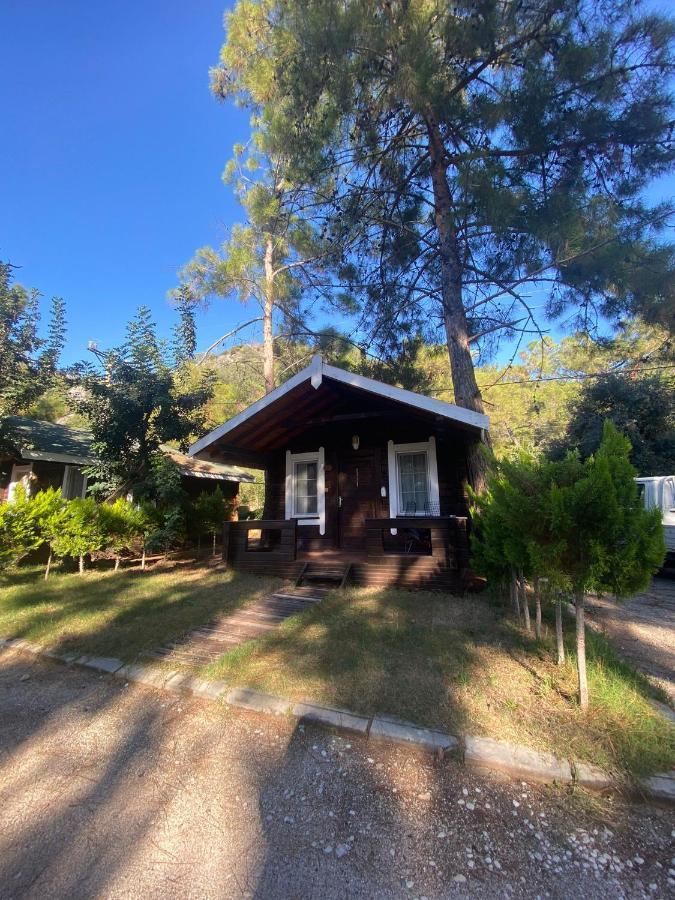 Green Pine Bungalows Oludeniz Bagian luar foto