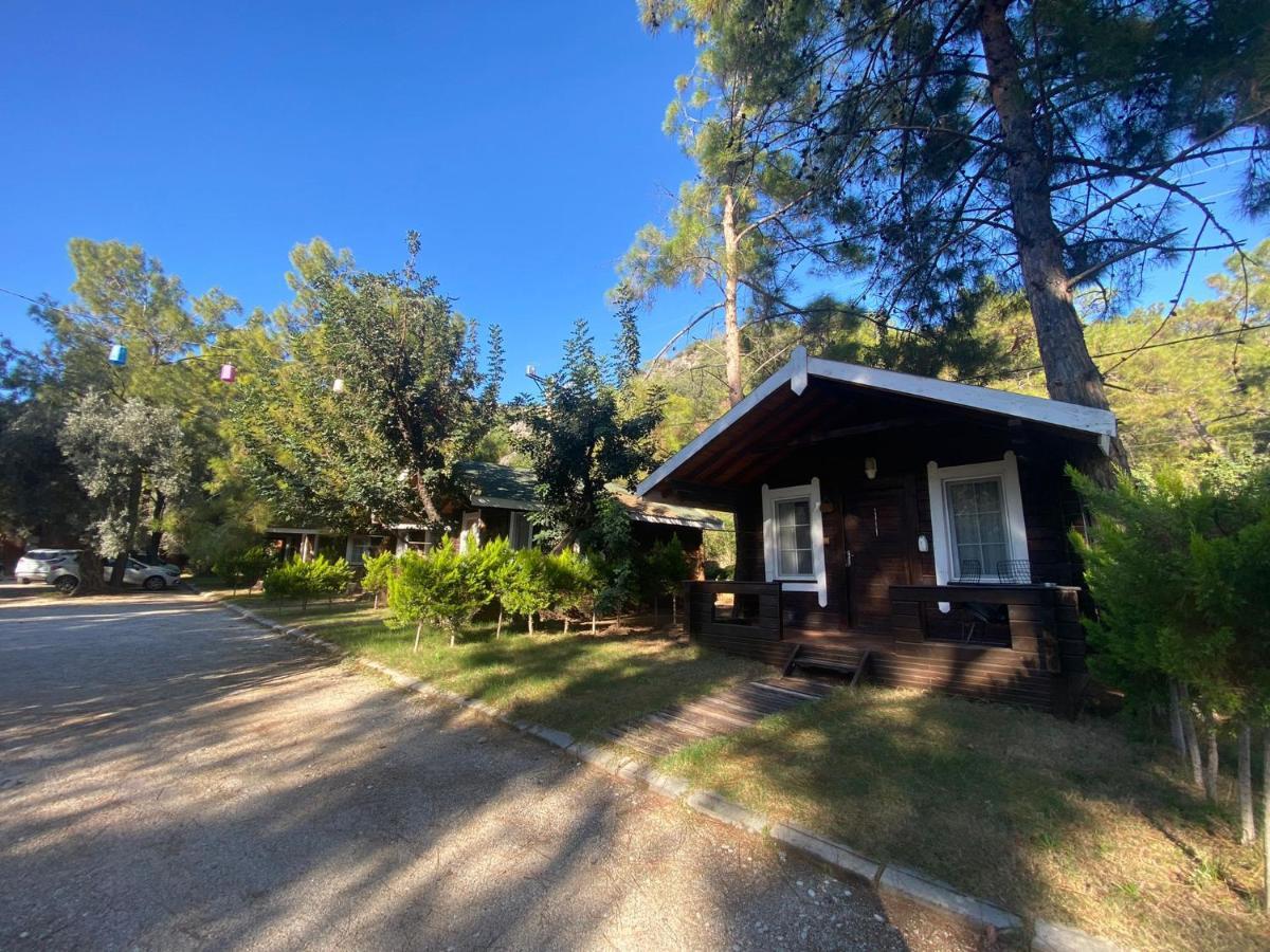 Green Pine Bungalows Oludeniz Bagian luar foto